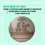 Découverte archéologique et exposition Saisons romaines au Musée gallo romain St Romain en Gal